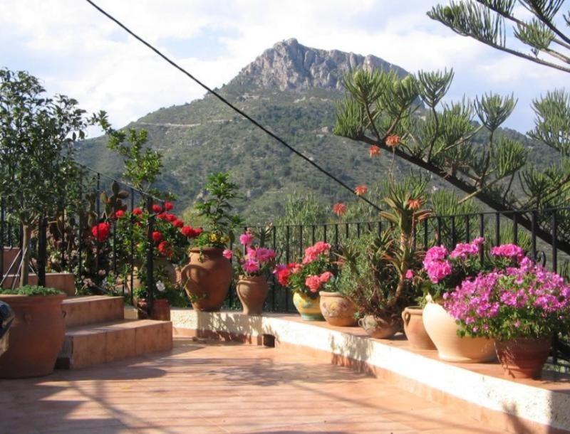 Laura Las Flores Calpe Eksteriør bilde